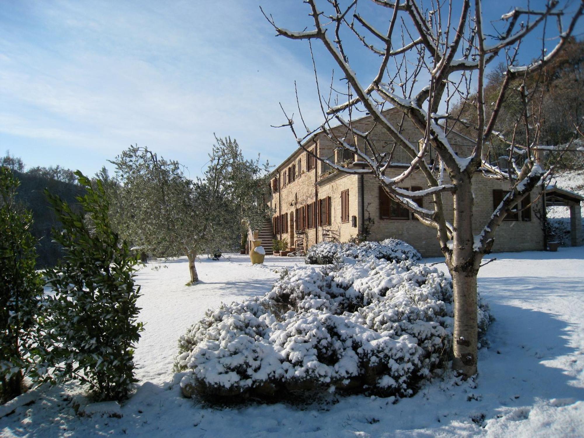 Casa Delle Sorgenti Διαμέρισμα Montefiore dellʼAso Εξωτερικό φωτογραφία